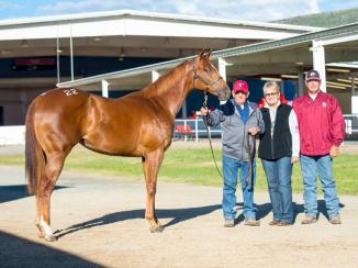 10522556_829476053751428_2746586595938677257_n